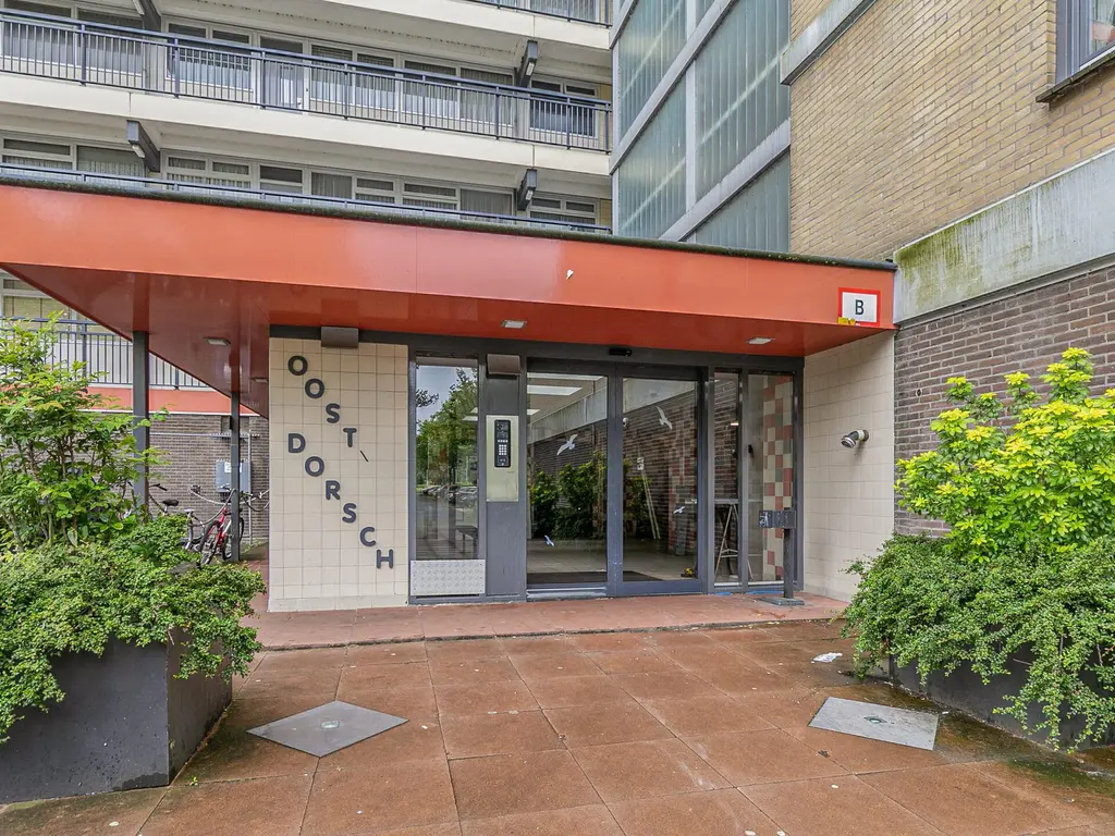 Oost-Dorsch 36, ZAANDAM