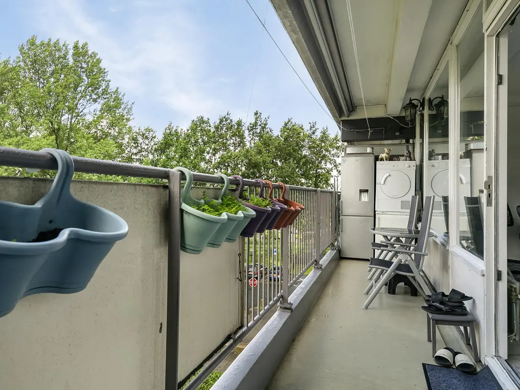Oost-Dorsch 36, ZAANDAM
