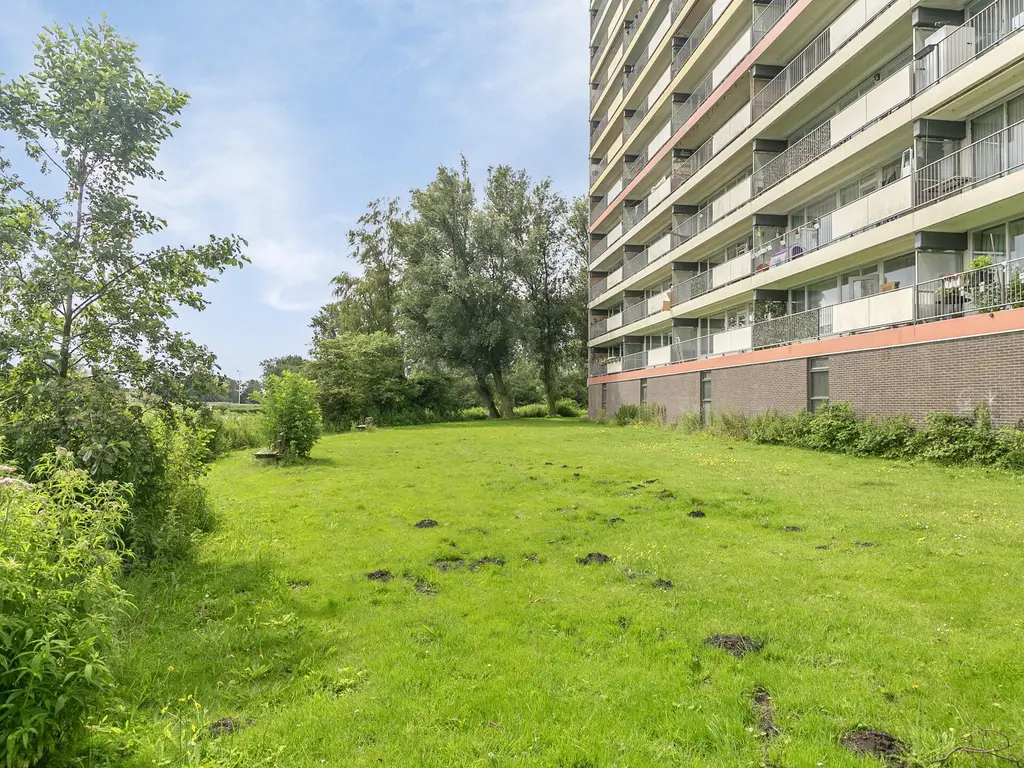 Oost-Dorsch 36, ZAANDAM