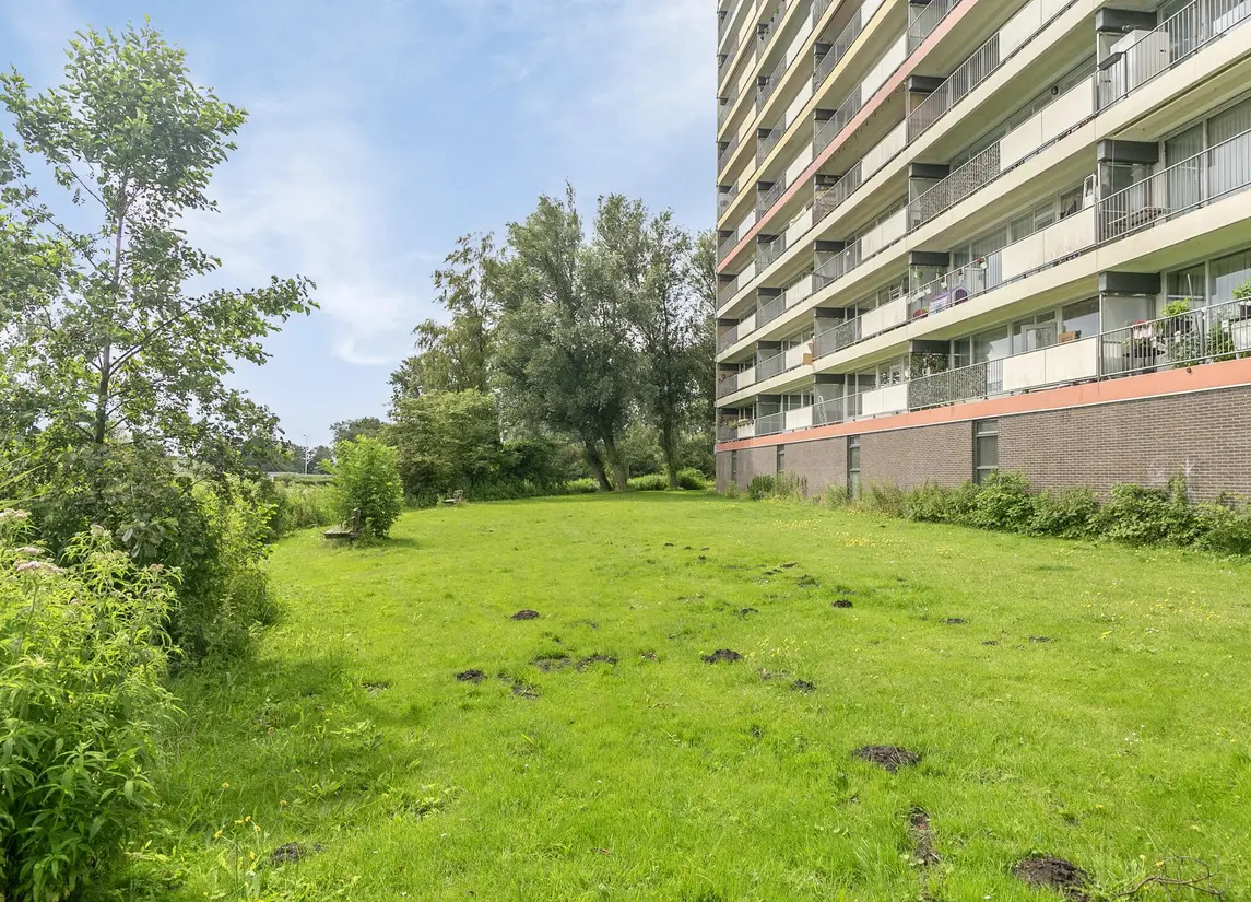Oost-Dorsch 36