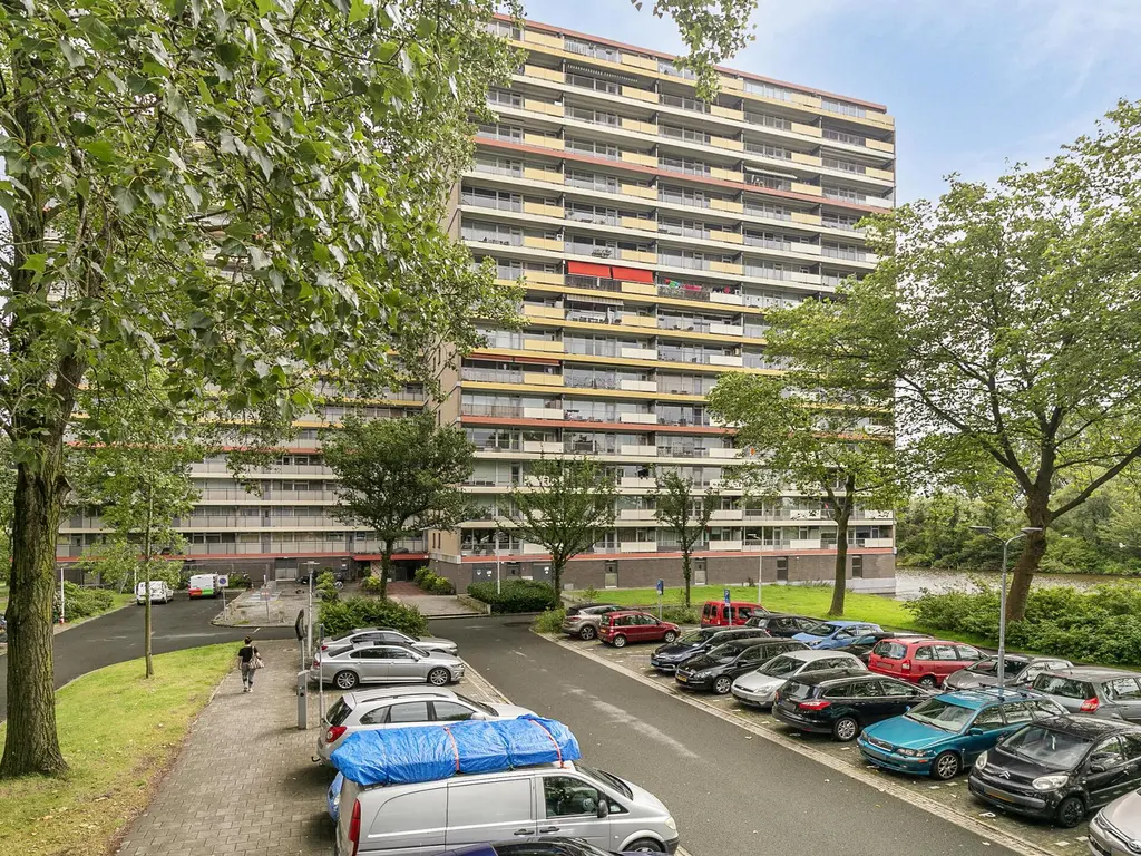 Oost-Dorsch 36, ZAANDAM