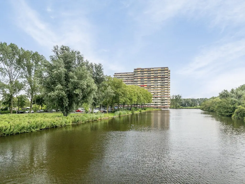 Oost-Dorsch 36, ZAANDAM