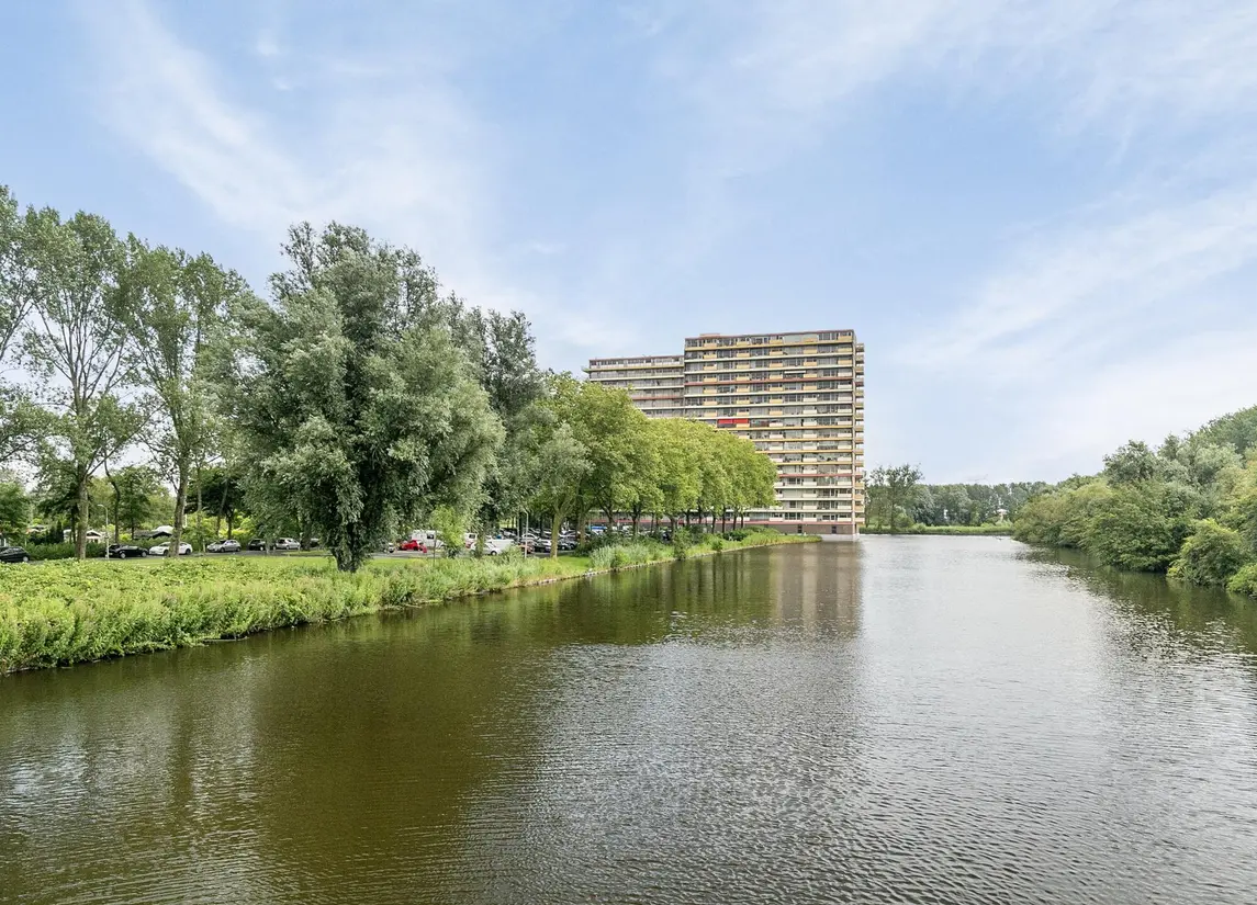 Oost-Dorsch 36