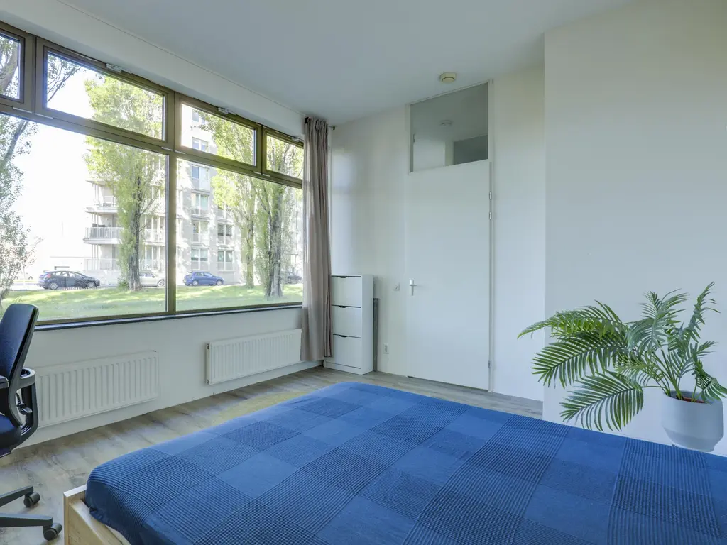 Glenn Millerpad 37, UTRECHT