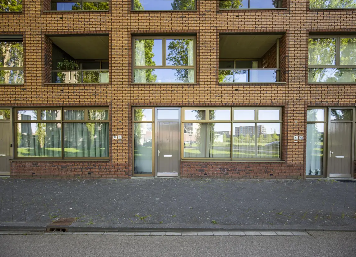 Glenn Millerpad 37
