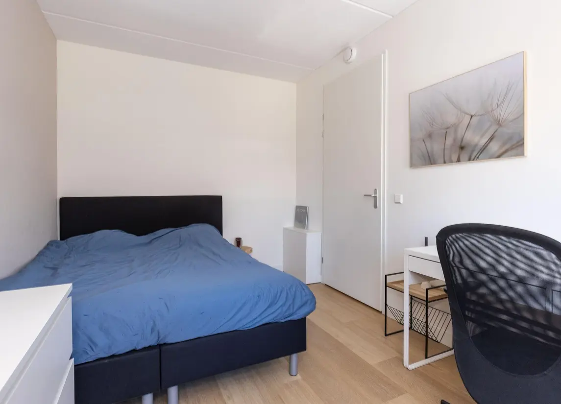 Elle Molstraat 33