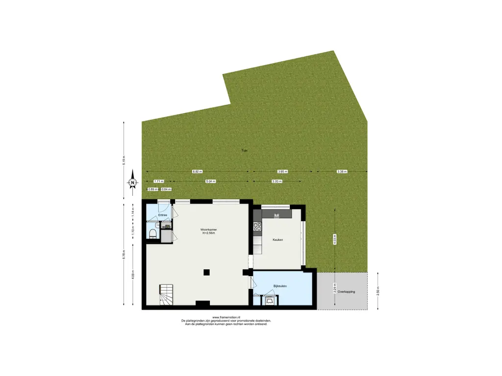 Beukvaren 3