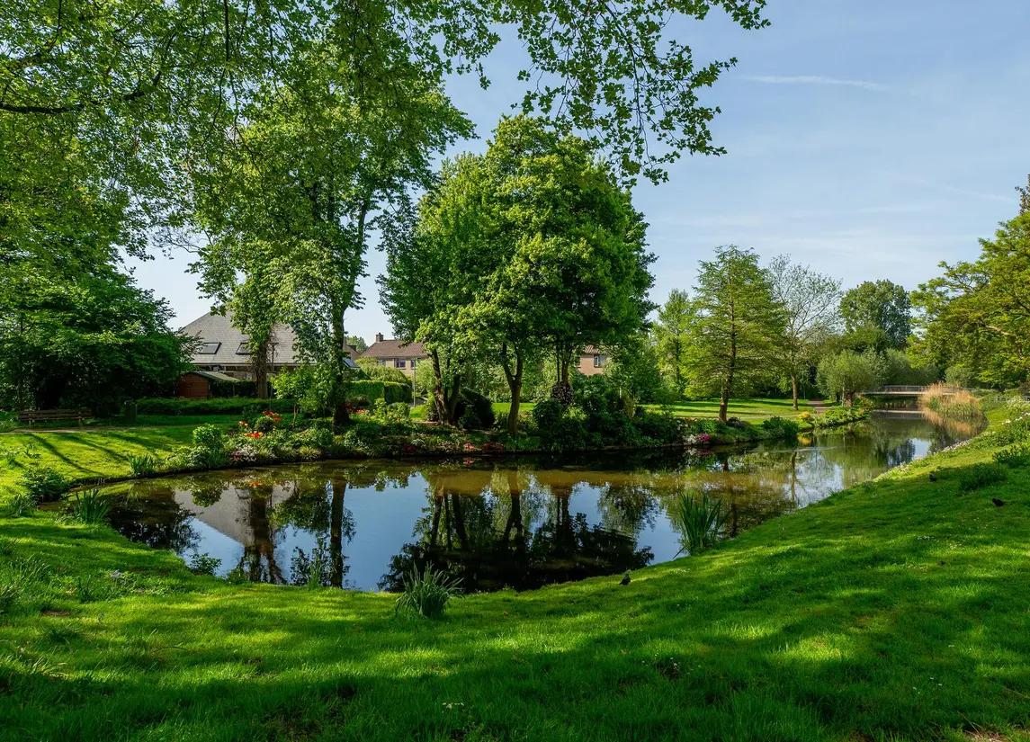 Beukvaren 3