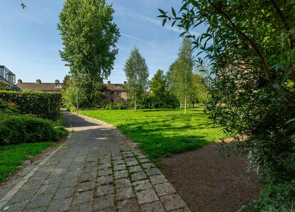Beukvaren 3