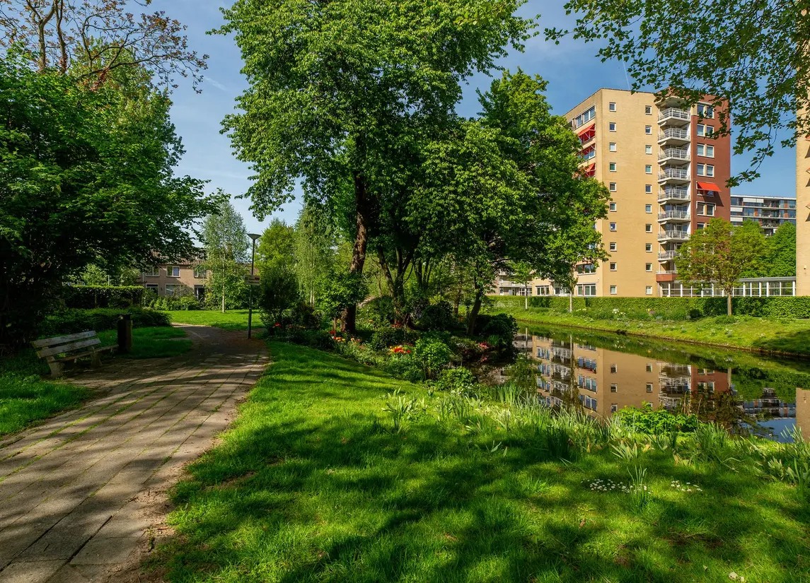 Beukvaren 3