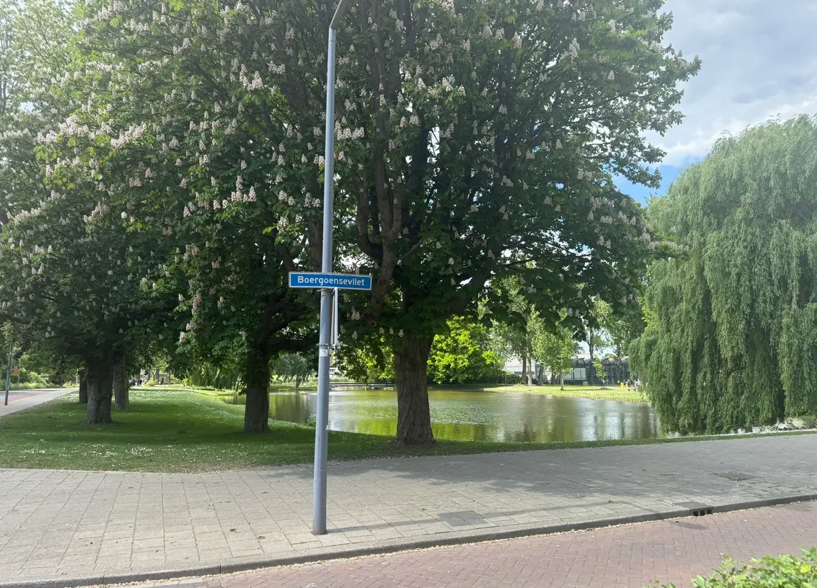 Boergoensevliet 176