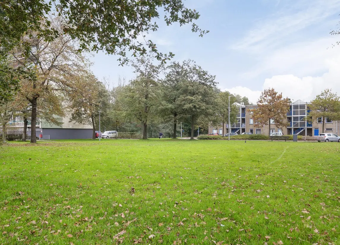 Rijpstraat 16