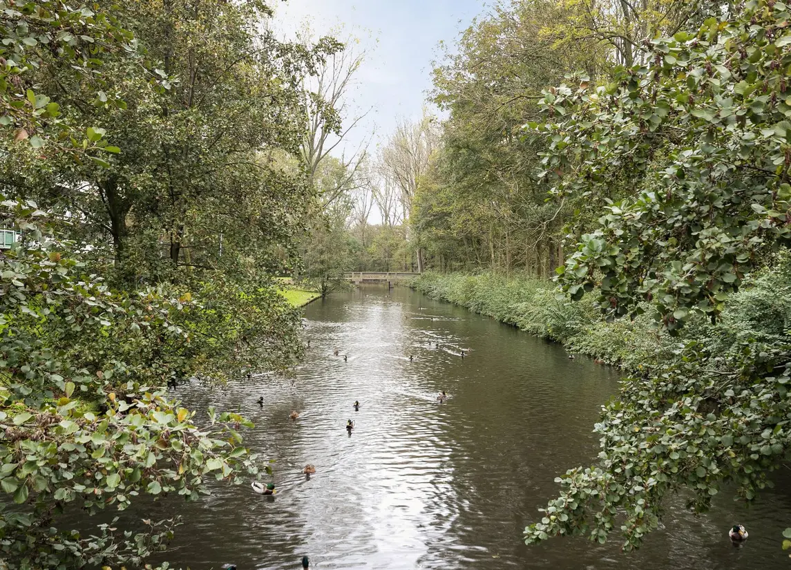Rijpstraat 16