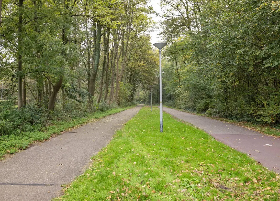 Rijpstraat 16