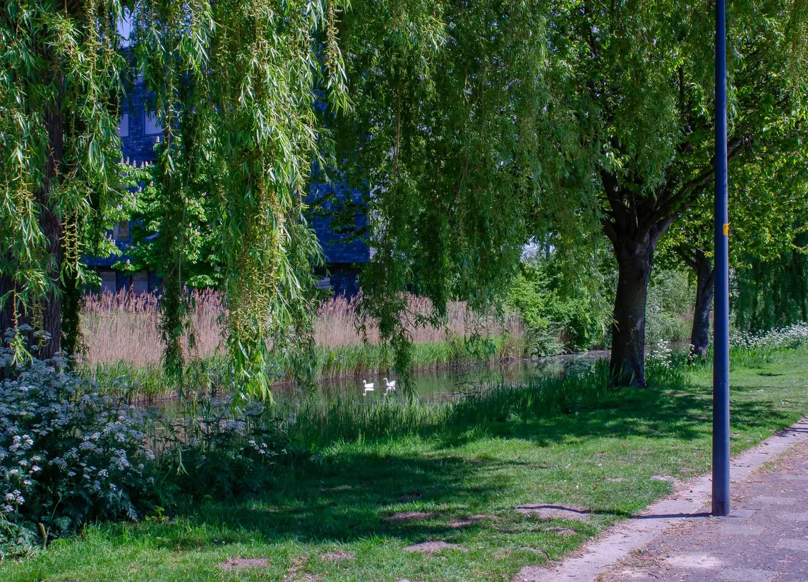 Schildgronden 37