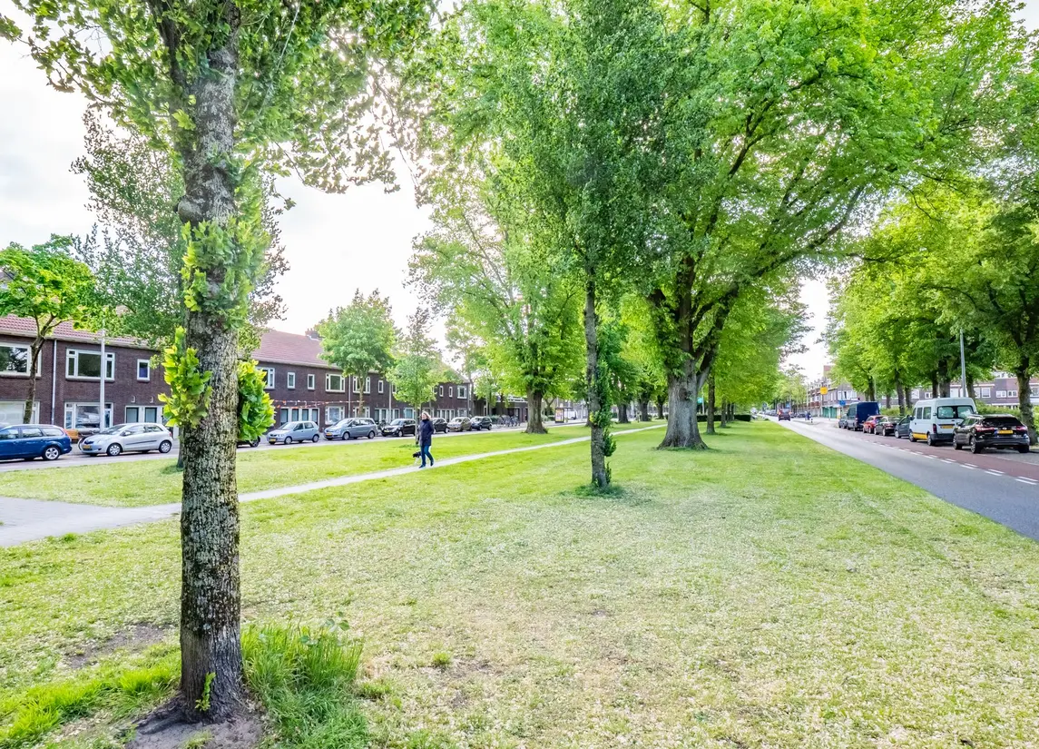 F. Koolhovenstraat 101