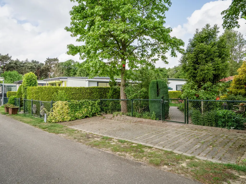 De Peel 13J91, Heel