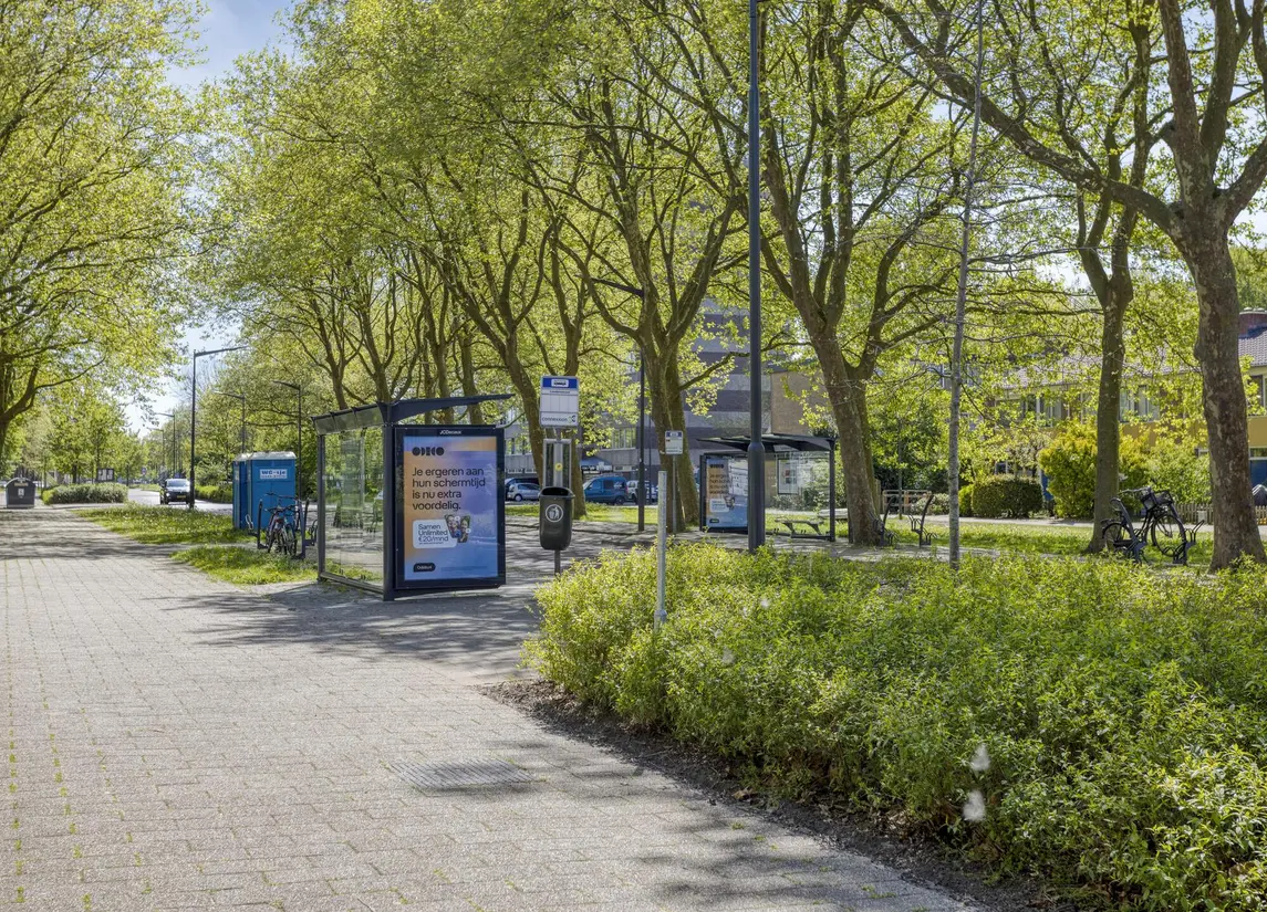 Bernstraat 50