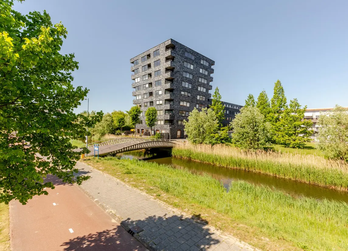 Rottumeroog 48