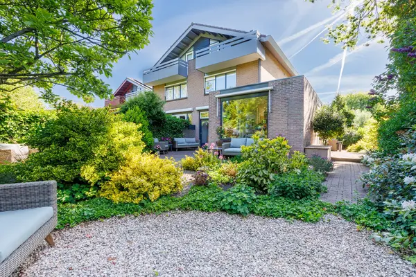 Zonnebloem 2