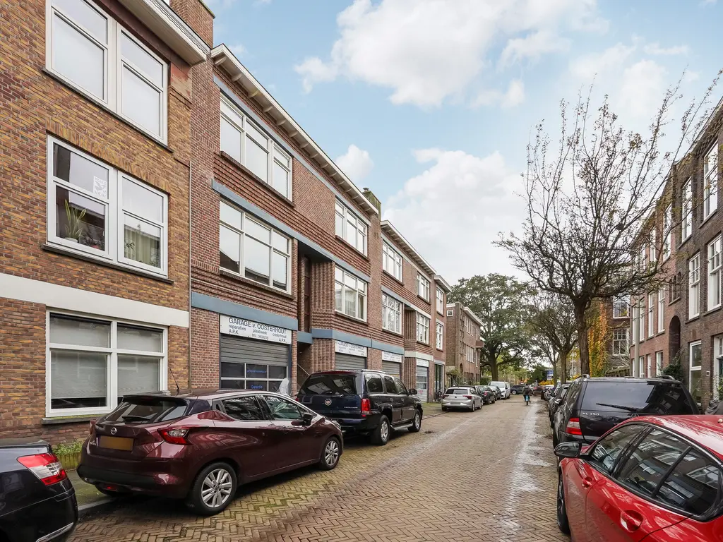 Esdoornstraat 164, Den Haag