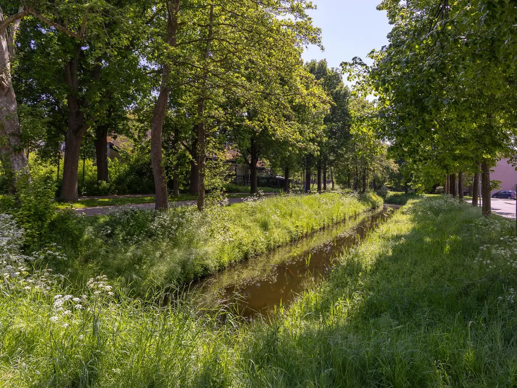 Grutto 65, Hoorn