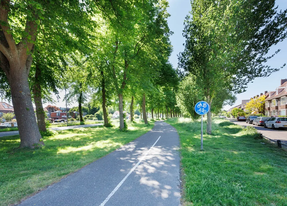 Hartmanstraat 14