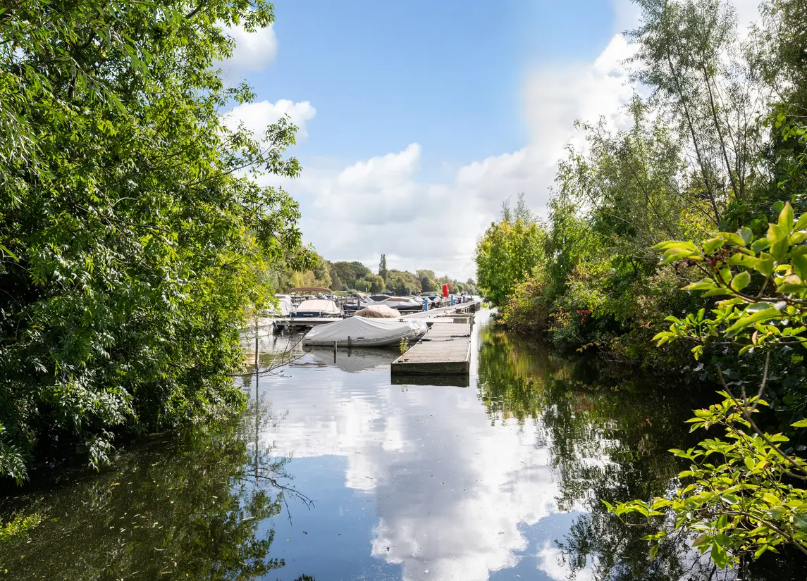 Streksingel 61
