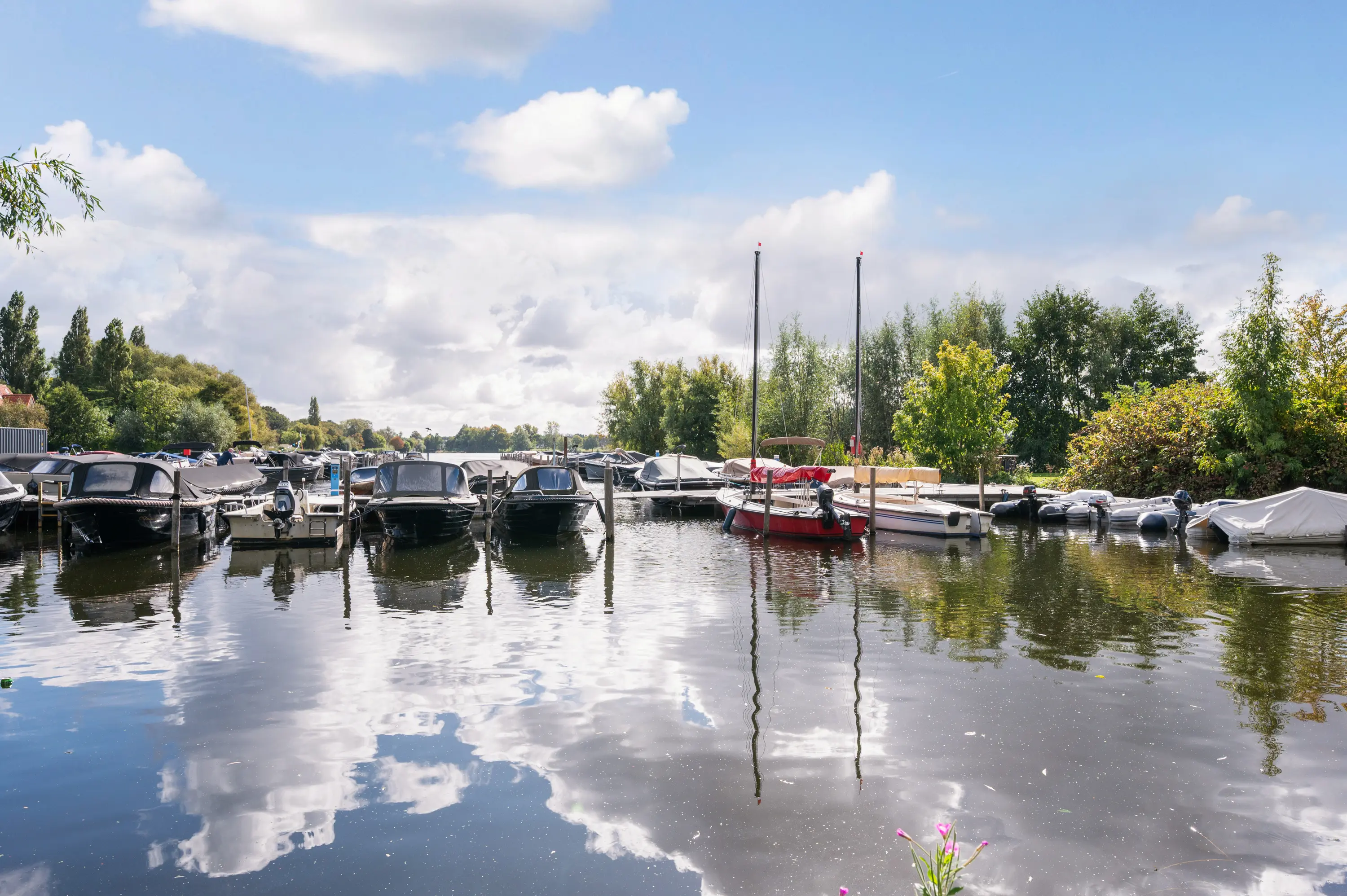 Streksingel 61