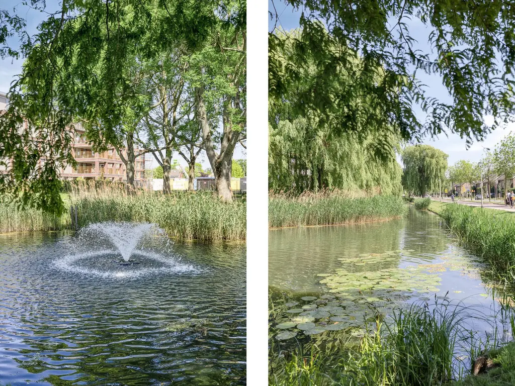 't Weerom 3, BARENDRECHT