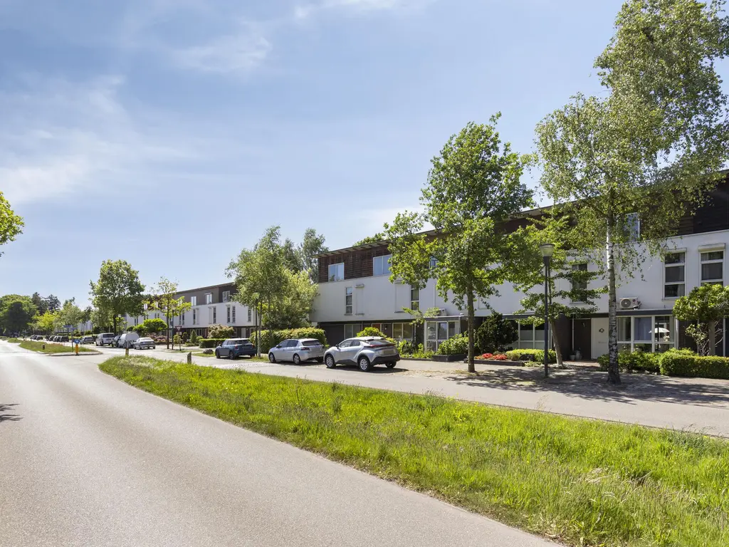 Zandschuit 55, EINDHOVEN
