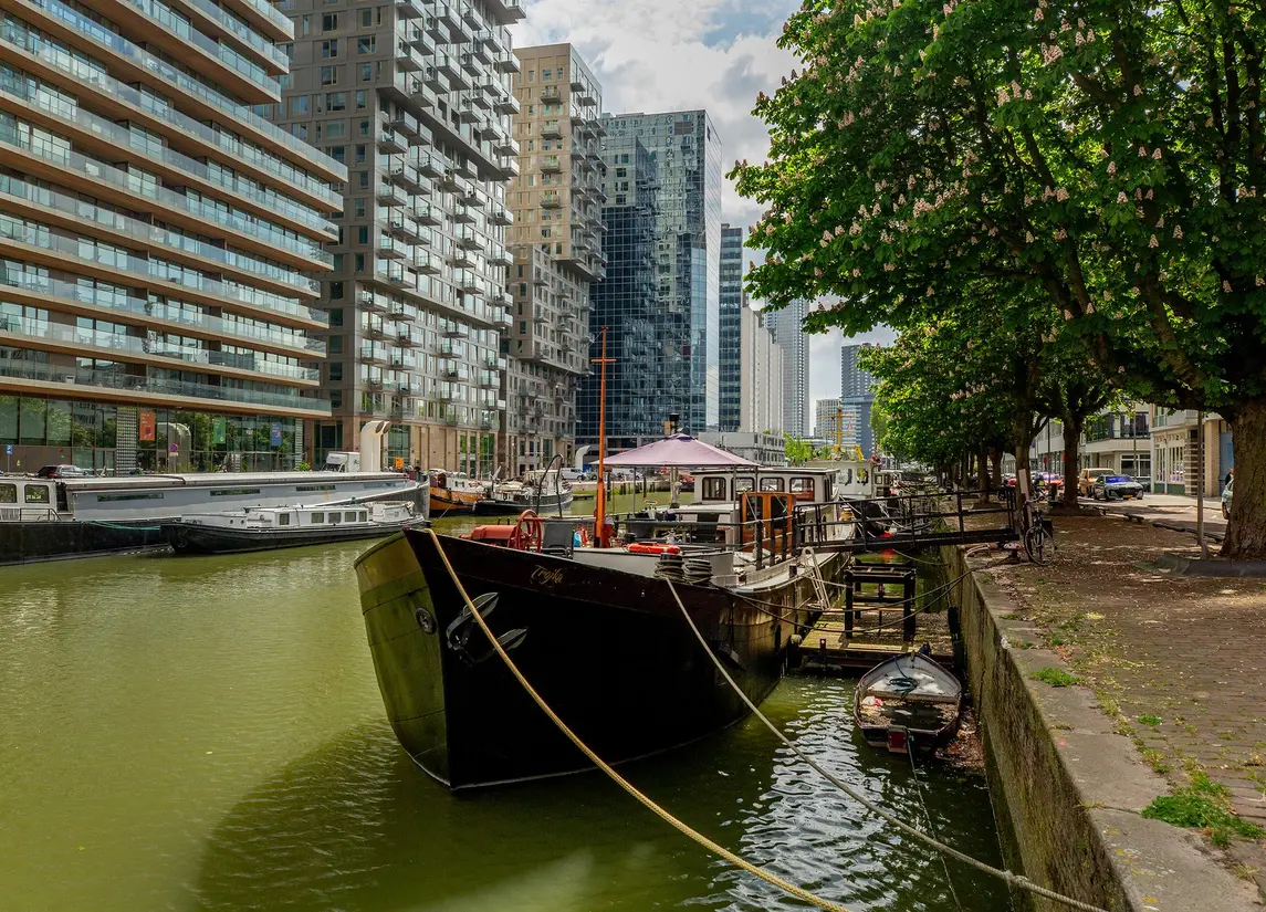 Wijnbrugstraat 94