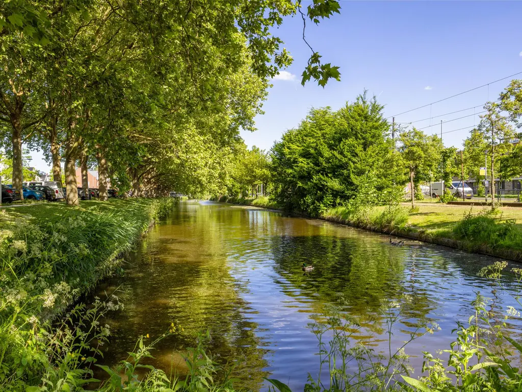 Hugo de Grootstraat 91, SCHIEDAM