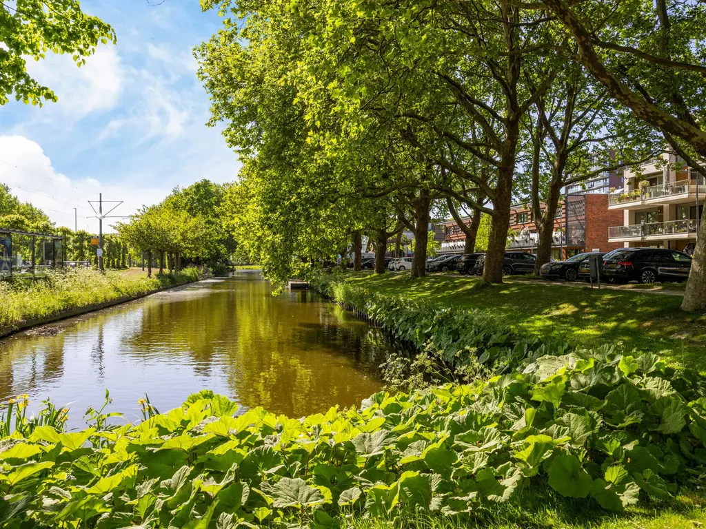 Hugo de Grootstraat 91, SCHIEDAM