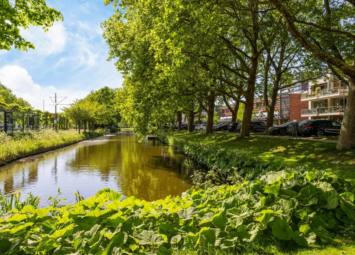 Hugo de Grootstraat 91