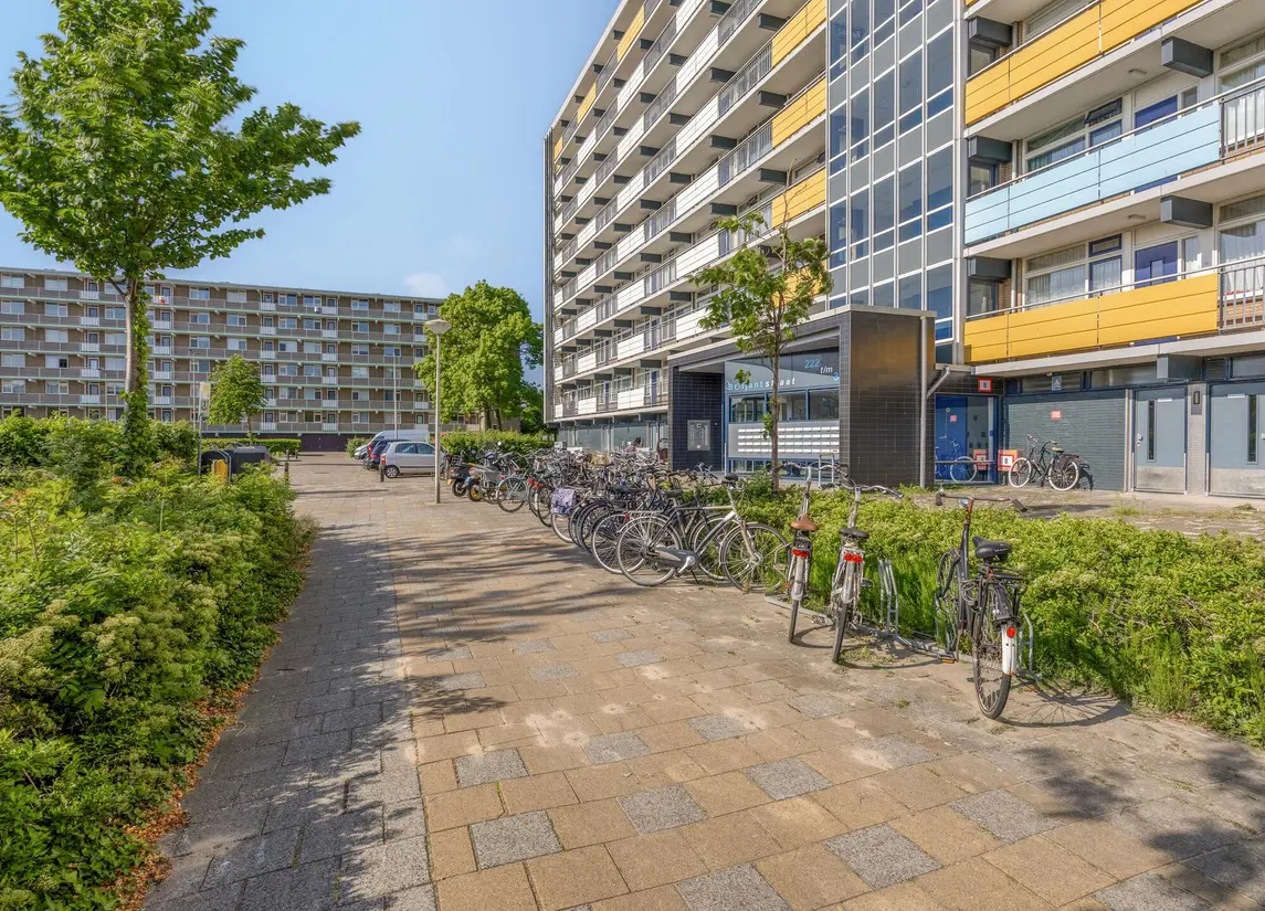 Briljantstraat 288