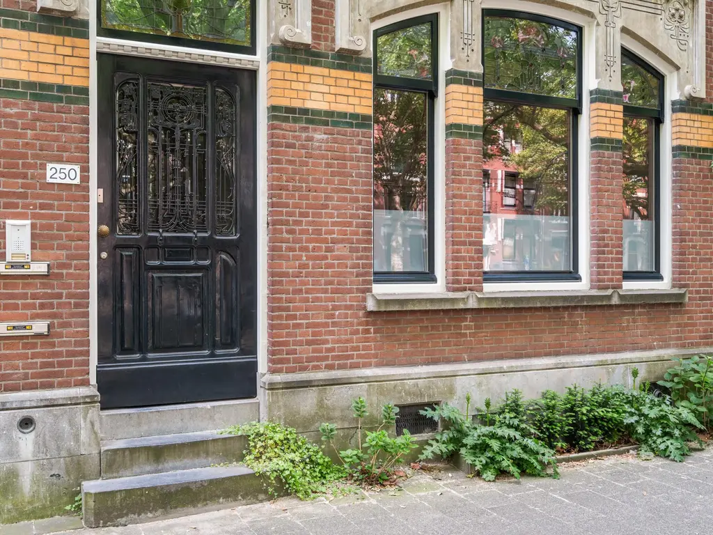 Mathenesserlaan 250B, ROTTERDAM