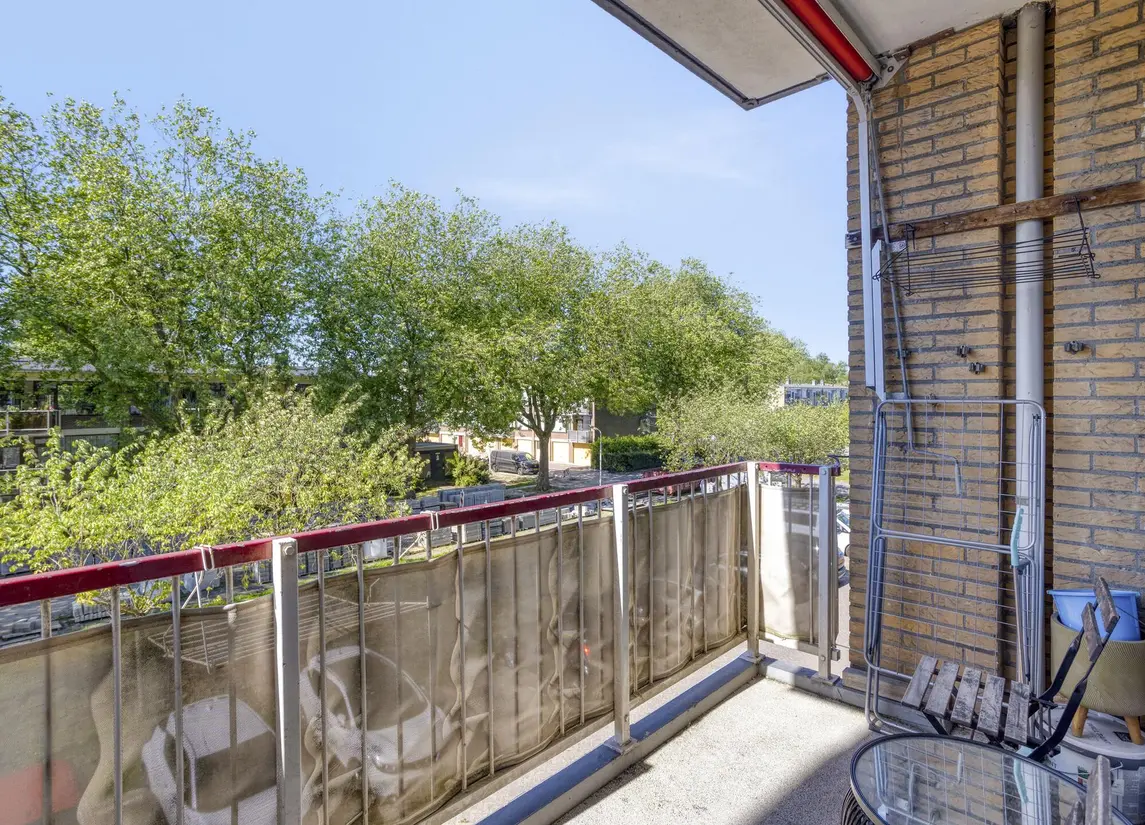 Lijsterstraat 46