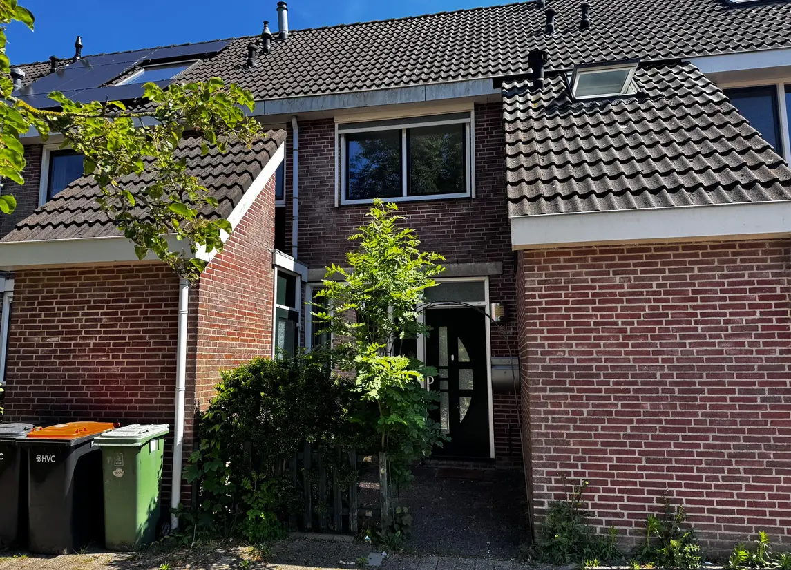 Hondsdraf 58