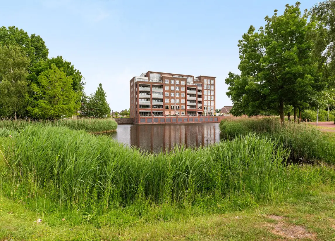 Palissanderhout 78