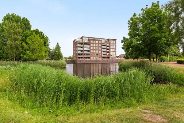 Palissanderhout 78