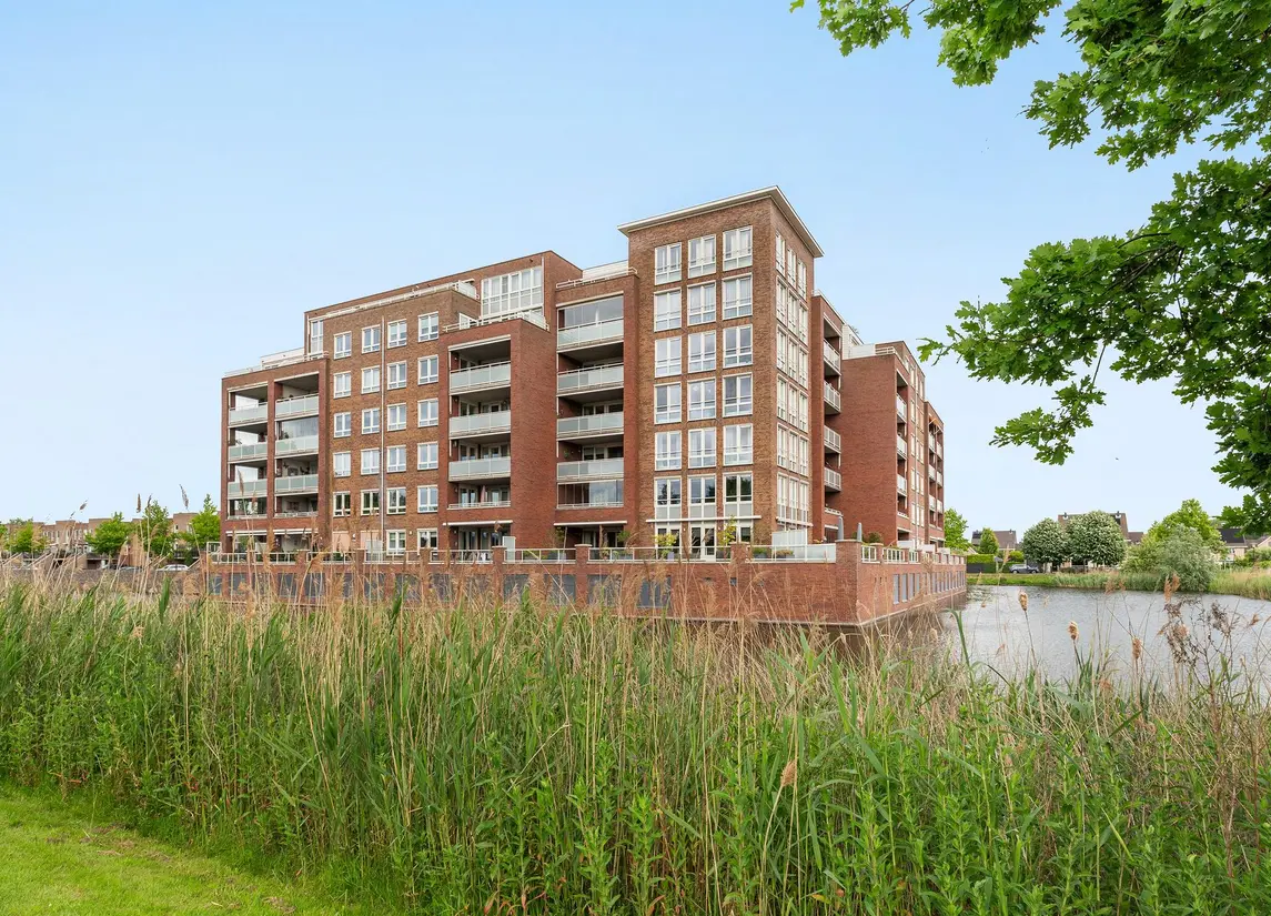 Palissanderhout 78