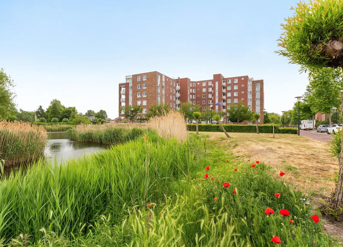 Palissanderhout 78