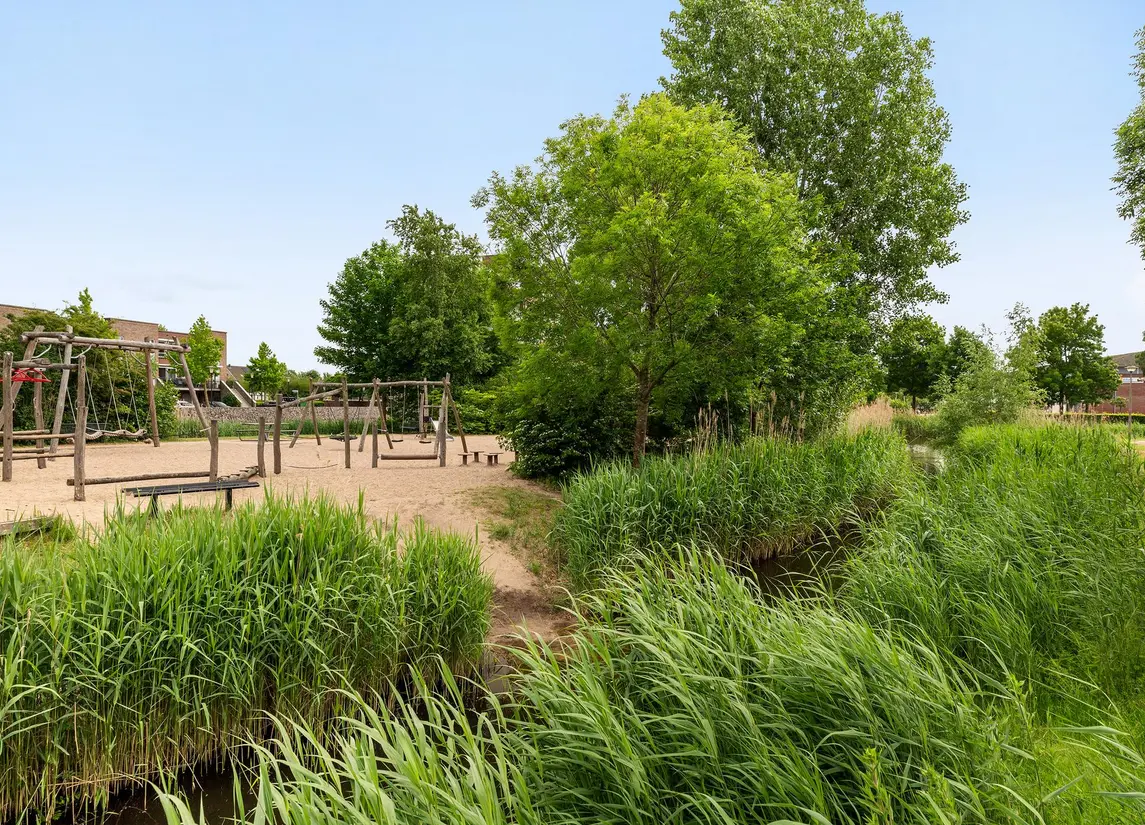 Palissanderhout 78