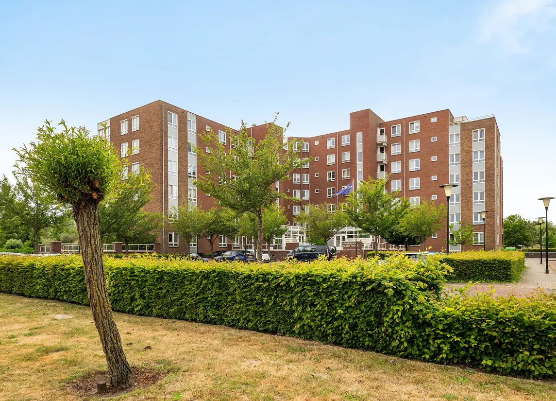 Palissanderhout 78