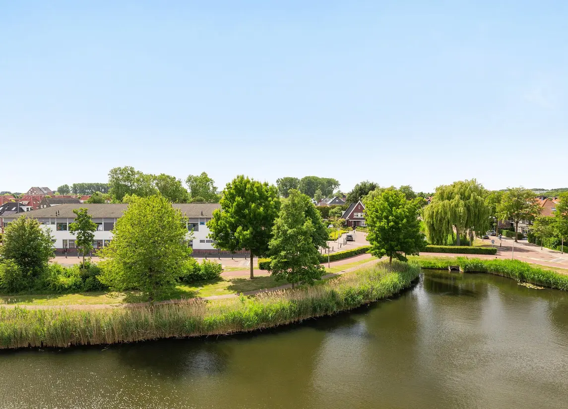 Palissanderhout 78