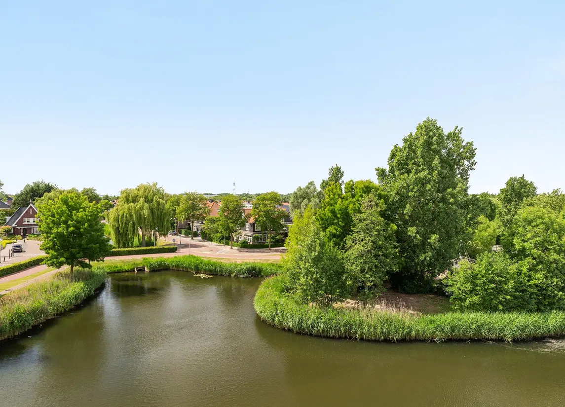 Palissanderhout 78