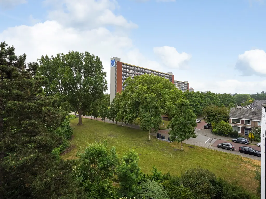 Hammarskjöldlaan 695, Rijswijk