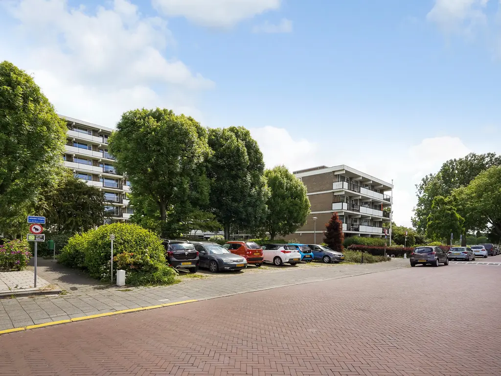 Hammarskjöldlaan 695, Rijswijk