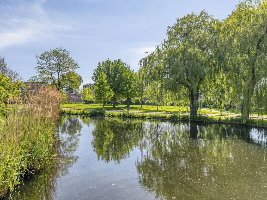 Boomberg 105, CAPELLE AAN DEN IJSSEL